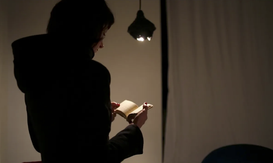 Le Monstre, festival de micro-édition